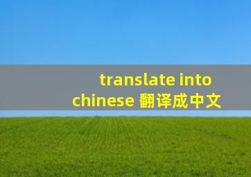 translate into chinese 翻译成中文